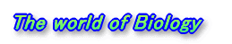 The world of Biology